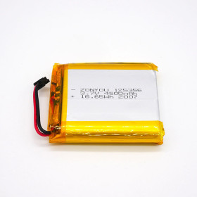 Batterie Piboy  - 1