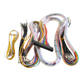 Câble GPiO Pandora Box 4.8mm  - 1